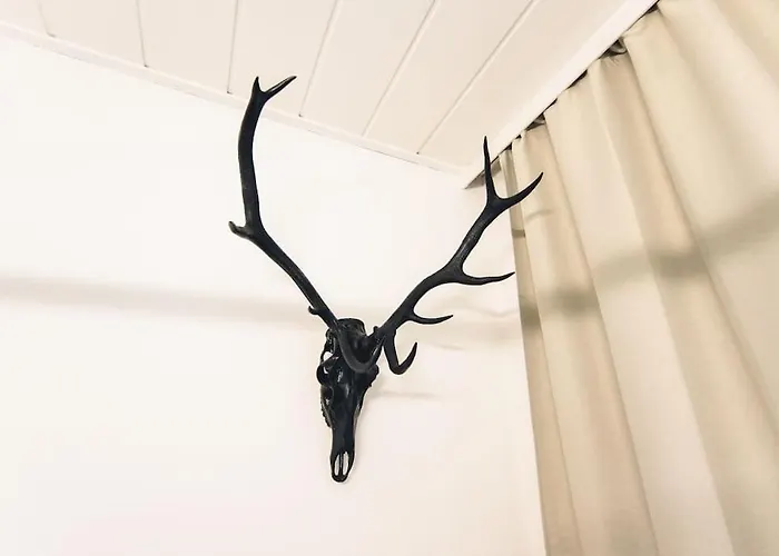 In Geidorf Apartment *