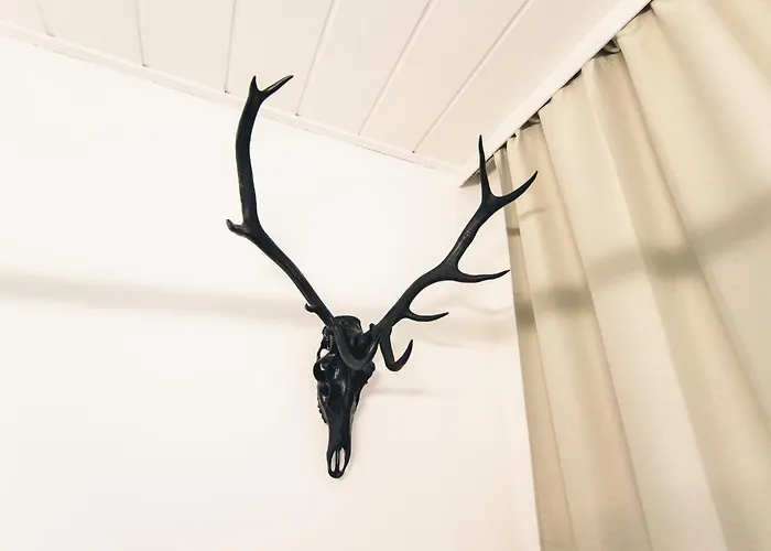 Διαμέρισμα In Geidorf